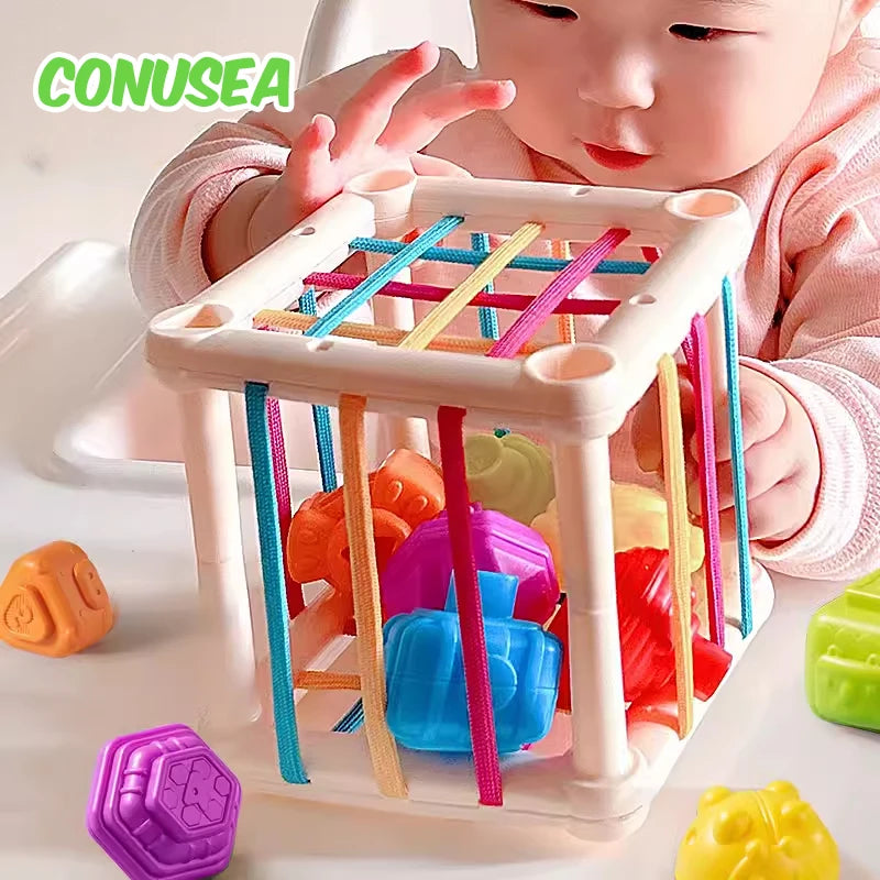 Colorful Shape Blocks Sorting Game
